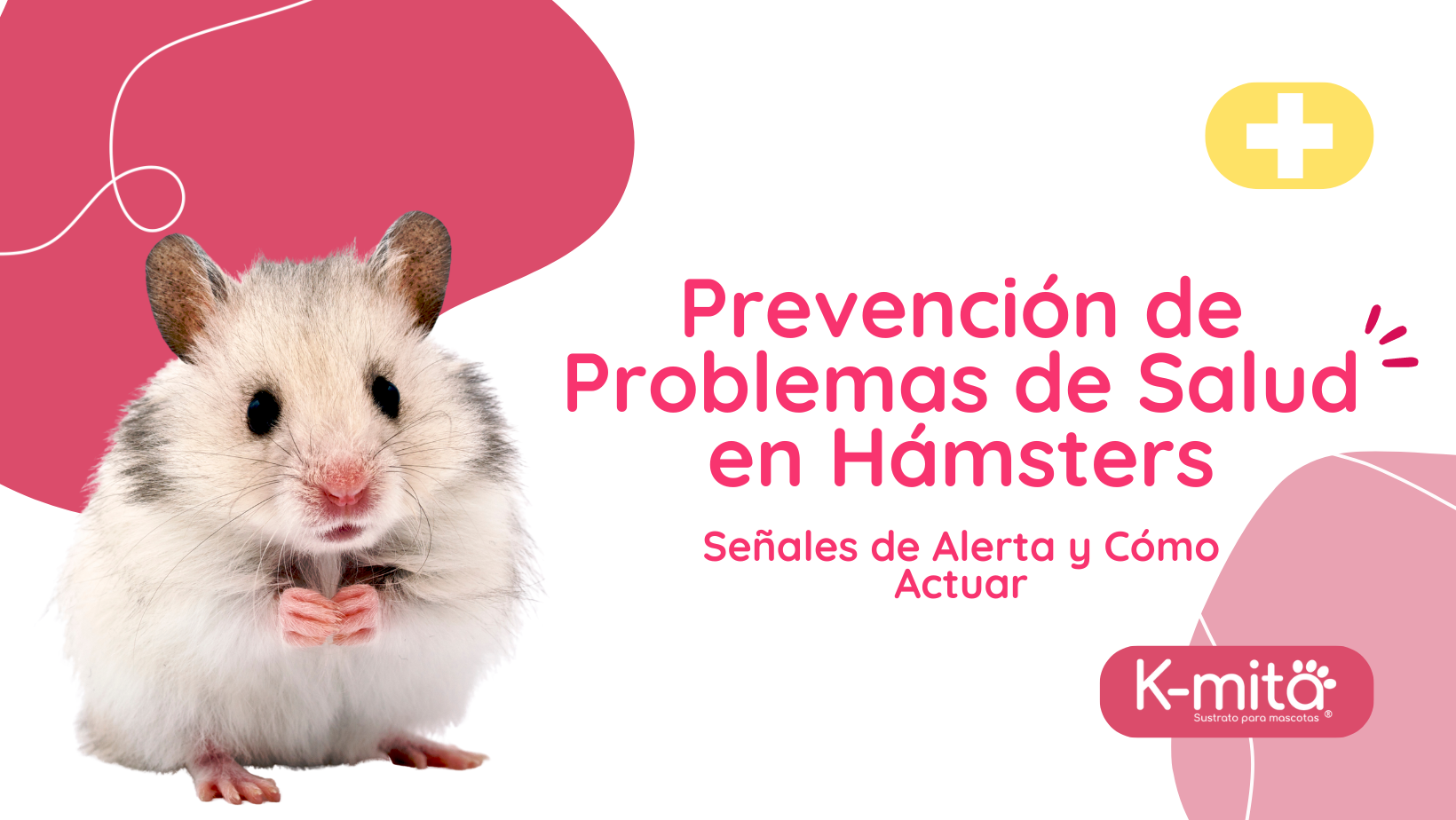 Prevención de Problemas de Salud en Hámsters: Señales de Alerta y Cómo Actuar 🐹⚠️