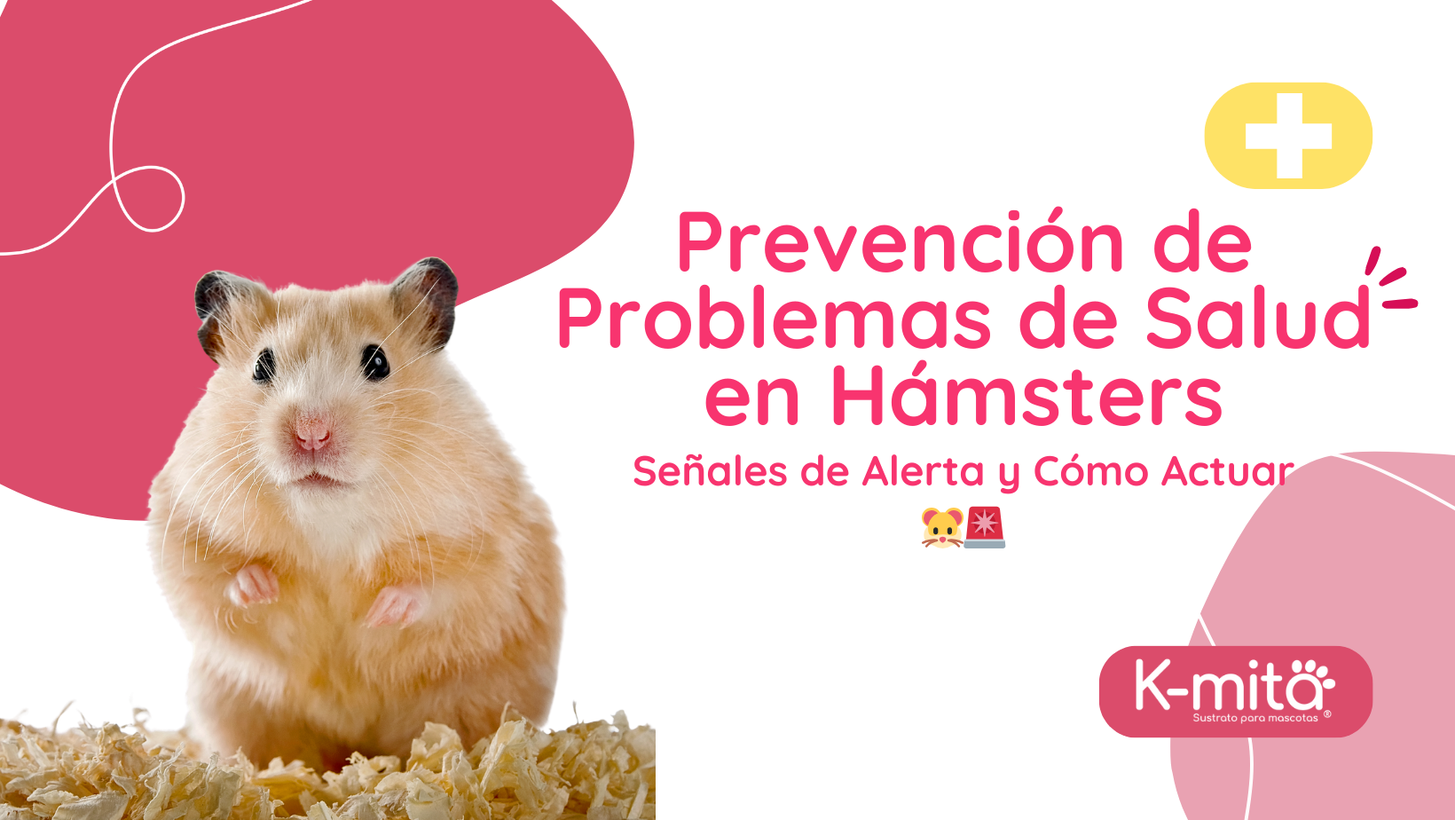 Prevención de Problemas de Salud en Hámsters: Señales de Alerta y Cómo Actuar 🐹🚨