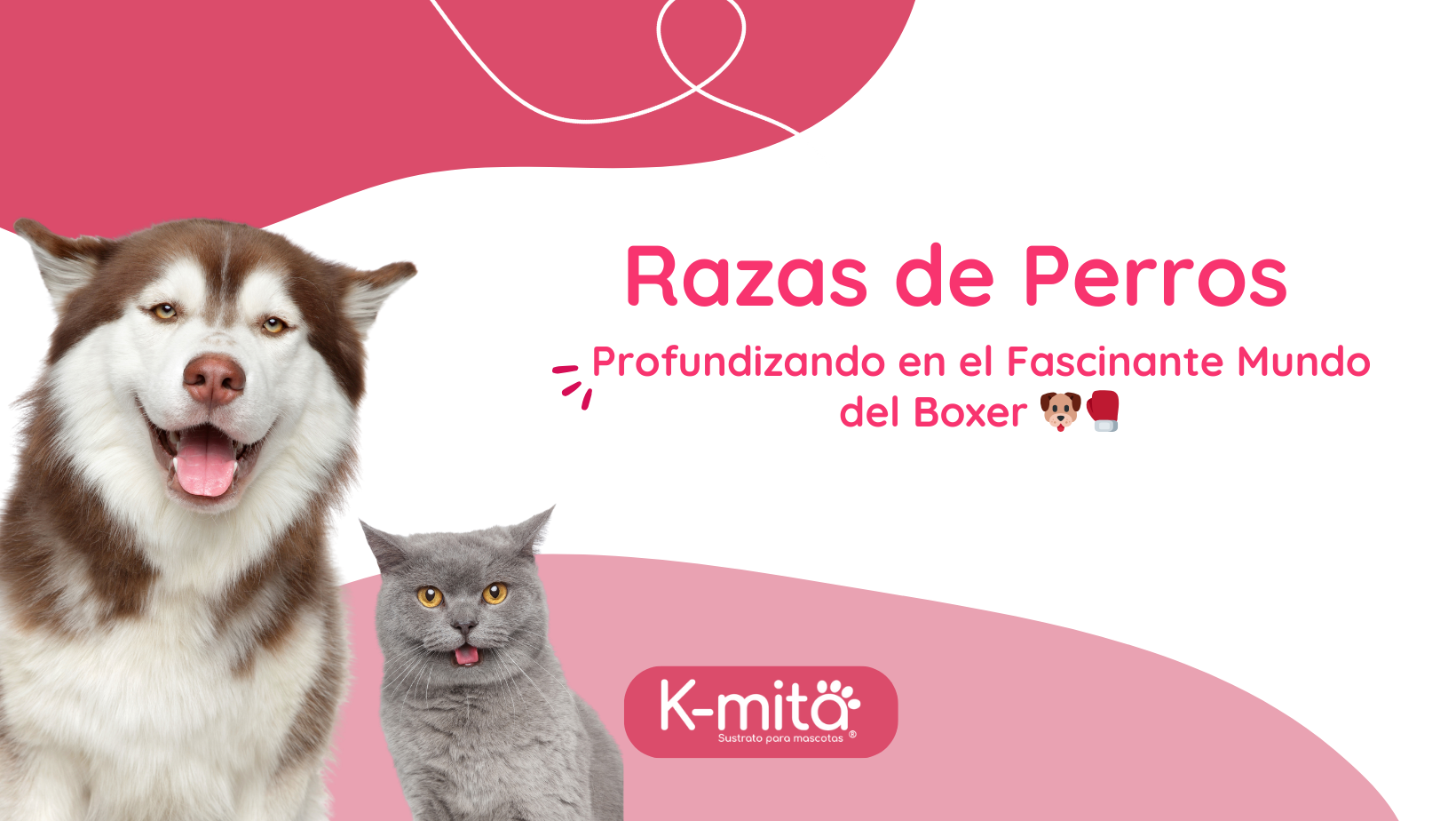 Razas de Perros: Profundizando en el Fascinante Mundo del Boxer 🐶🥊