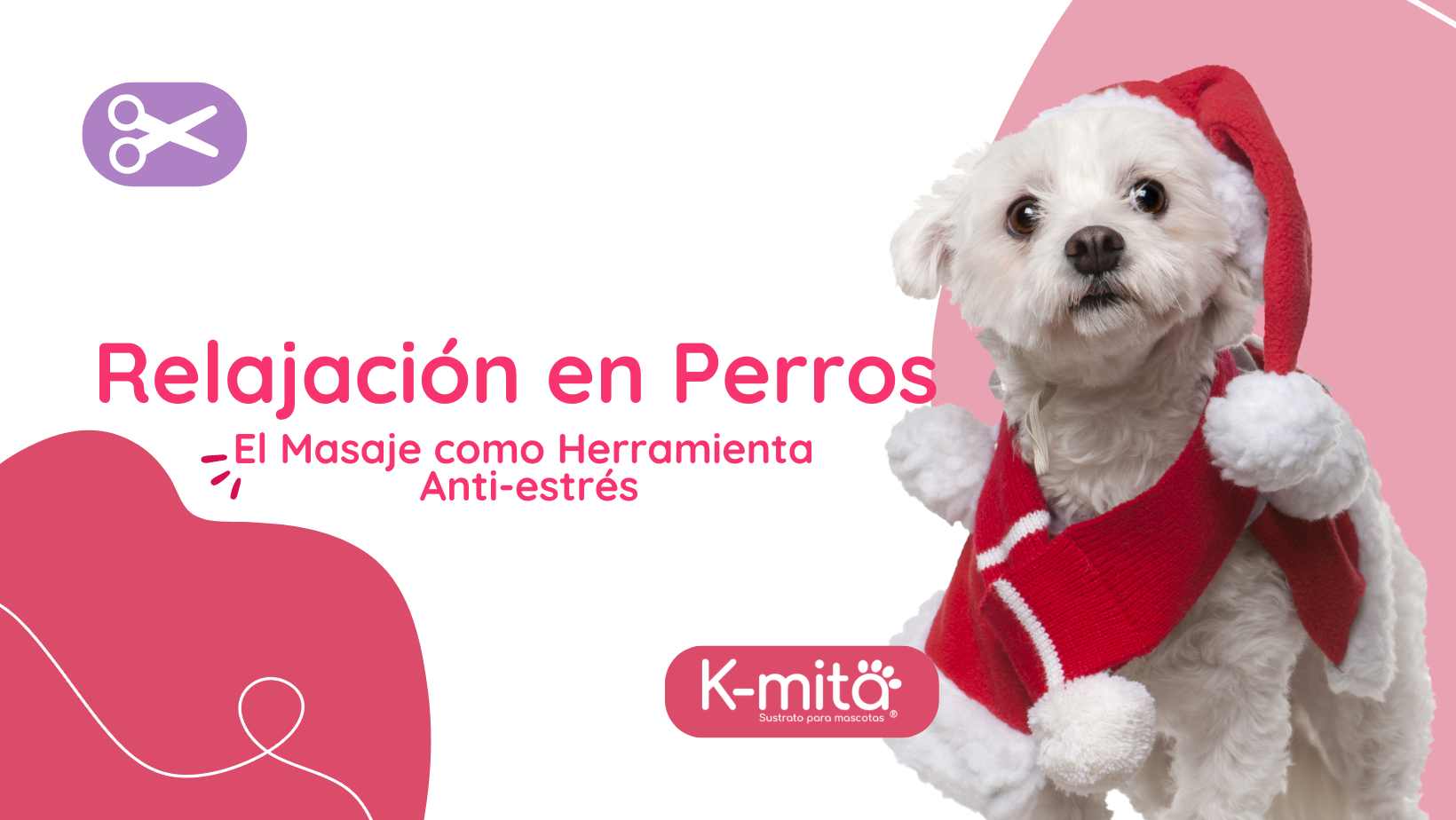 Relajación en Perros: El Masaje como Herramienta Anti-estrés