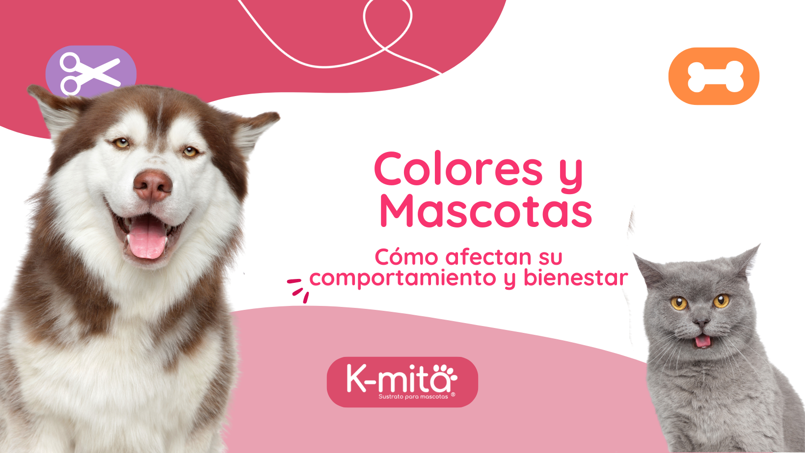 Colores y Mascotas: Cómo Afectan su Comportamiento y Bienestar