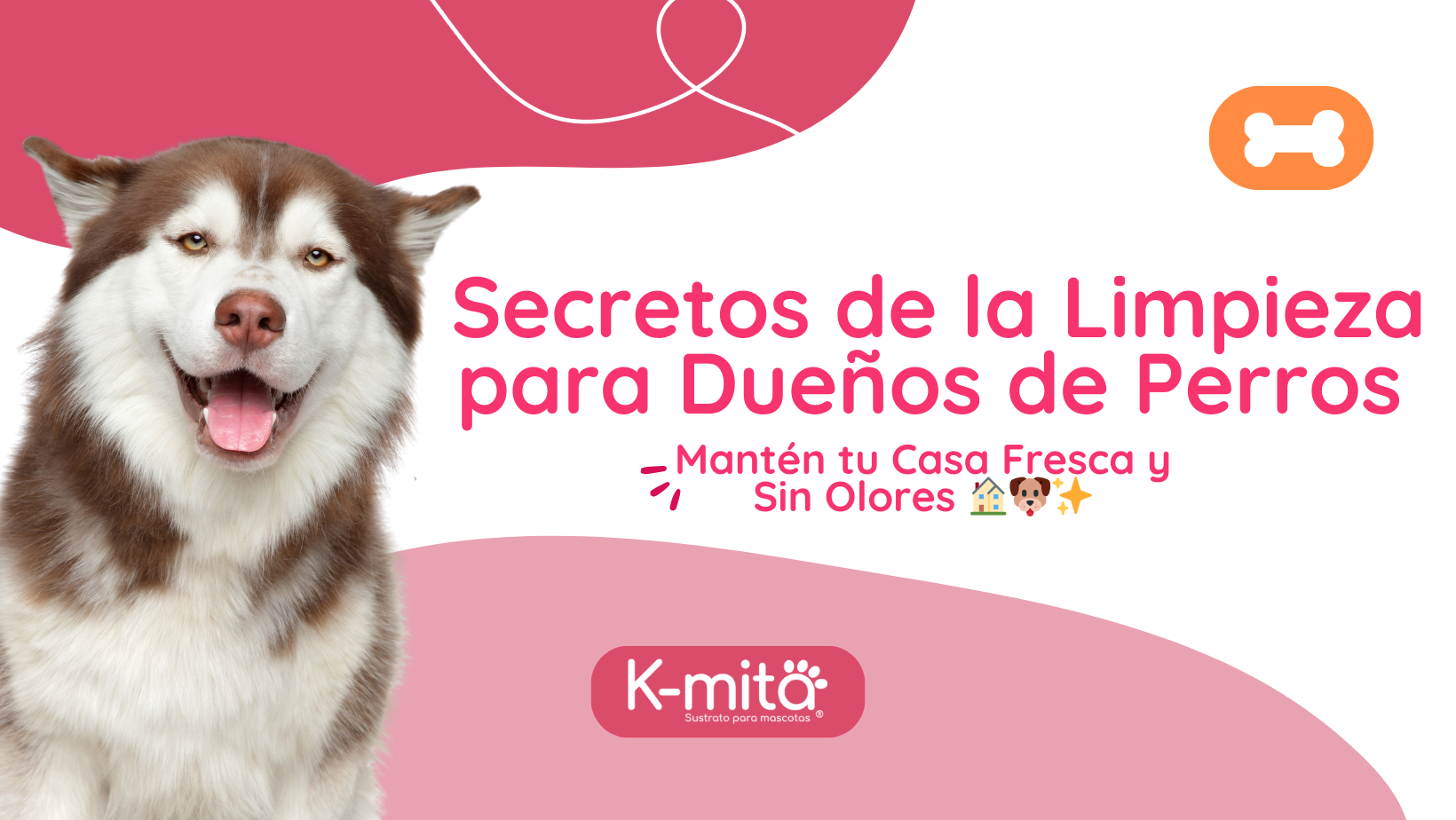 Secretos de la Limpieza para Dueños de Perros: Mantén tu Casa Fresca y Sin Olores 🏠🐶✨