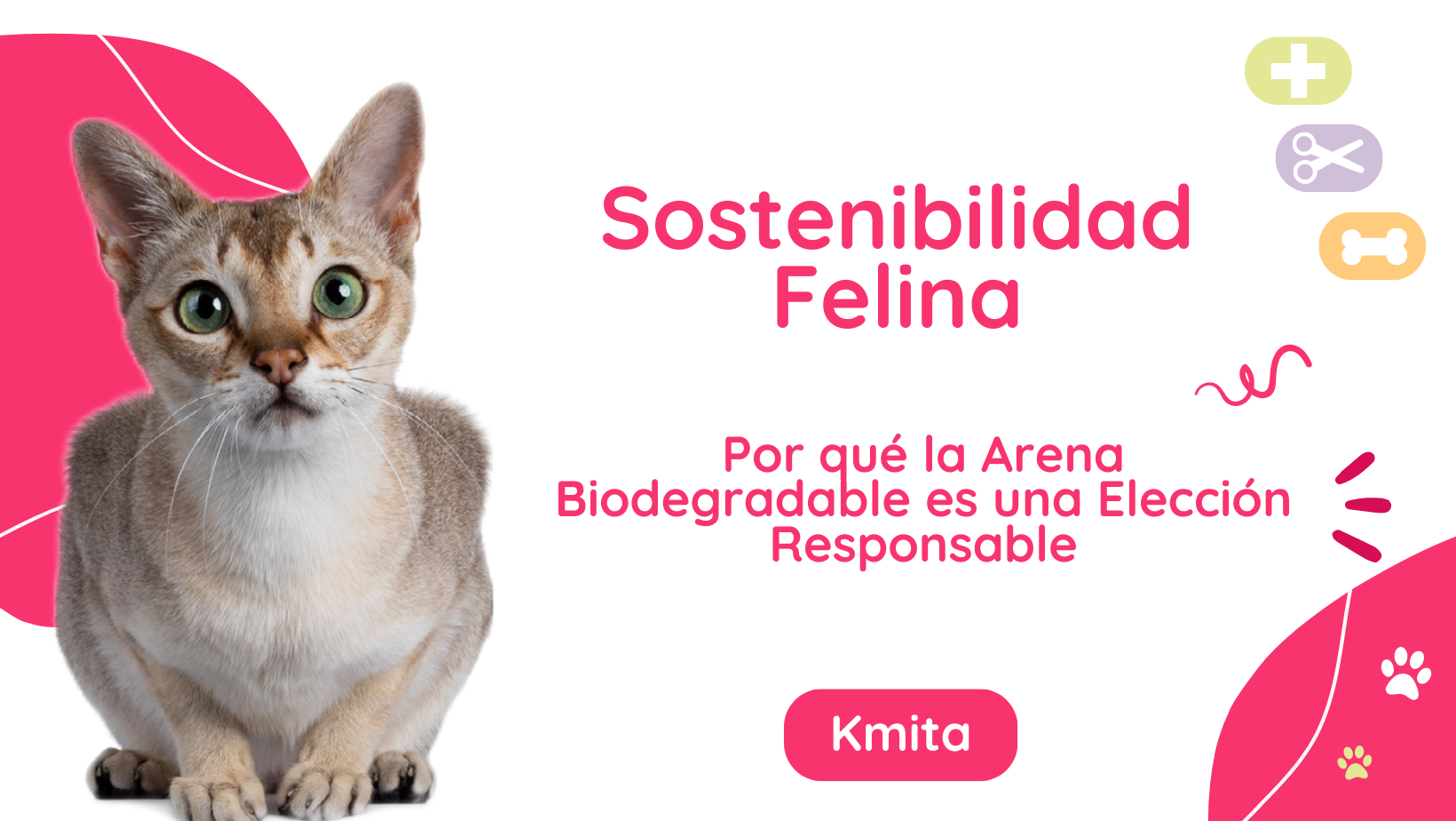 Por qué la Arena Biodegradable es una Elección Responsable