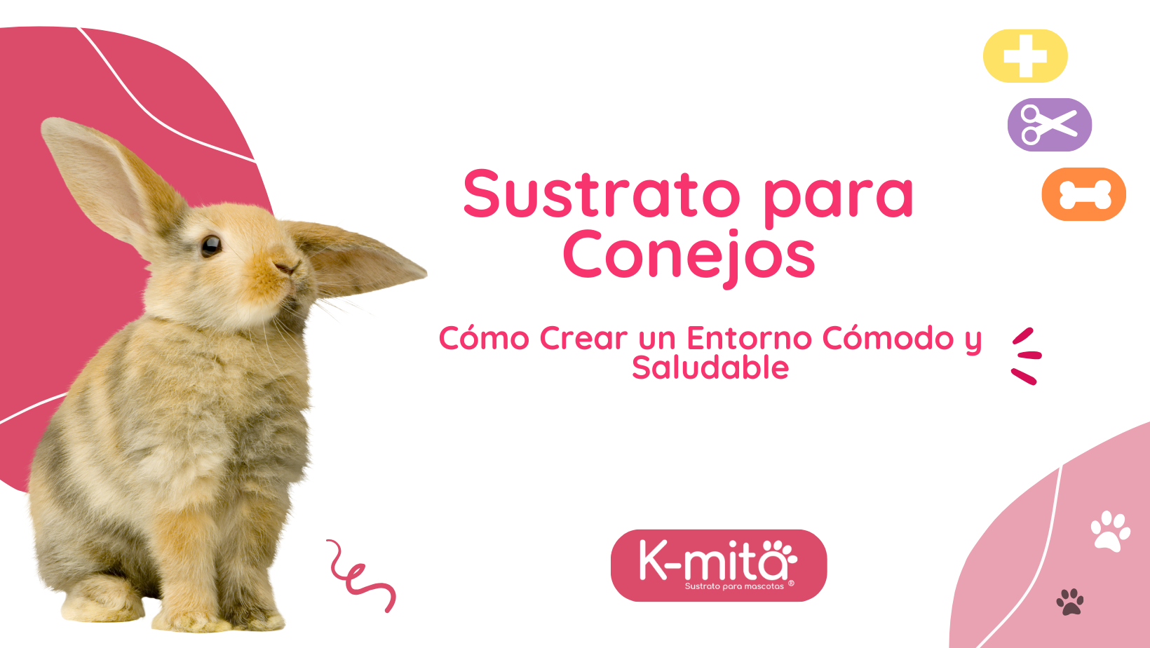 Sustrato para Conejos: Cómo Crear un Entorno Cómodo y Saludable 🐇🌱