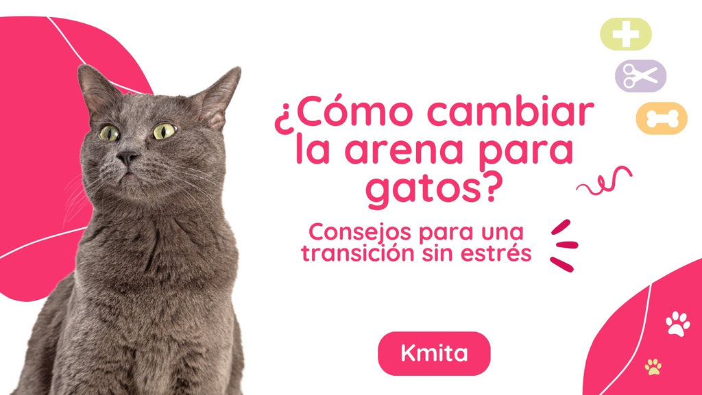 Cómo cambiar la arena para gatos: Consejos para una transición sin estrés 