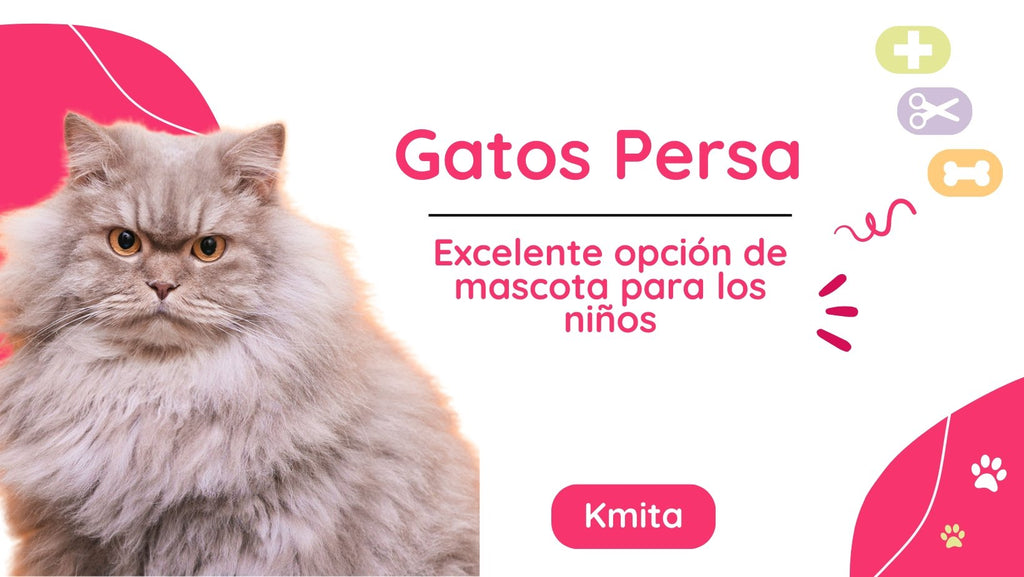 Cómo los gatos persas pueden ser una excelente opción de mascota para los niños 