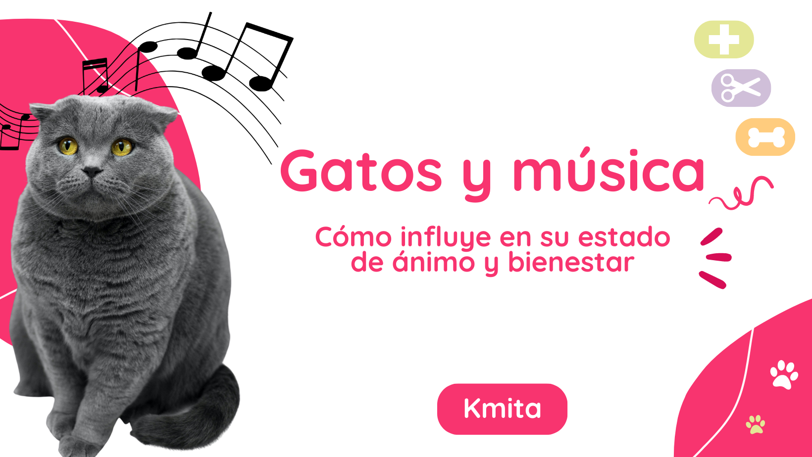 Gatos y música: cómo influye en su estado de ánimo y bienestar