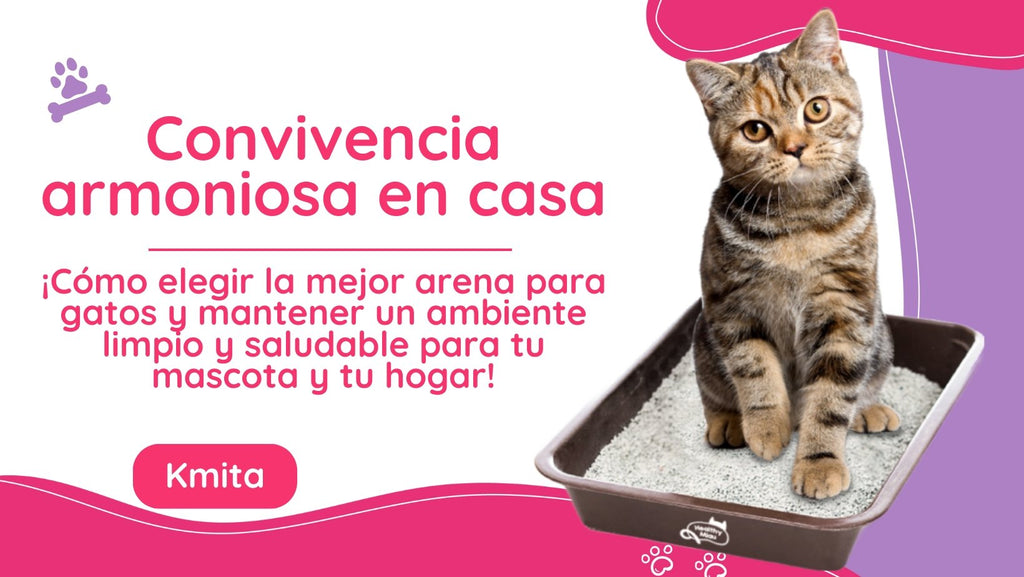 Convivencia armoniosa en casa: cómo elegir la mejor arena para gatos y mantener un ambiente limpio y saludable para tu mascota y tu hogar