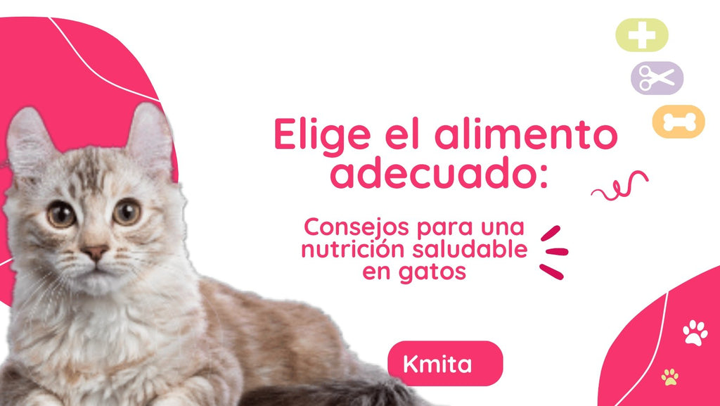 Elige el alimento adecuado