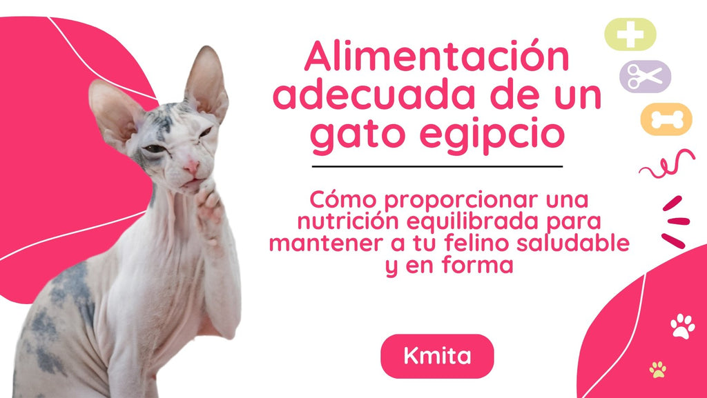 La alimentación adecuada un gato egipcio: cómo proporcionar una nutrición equilibrada para mantener a tu felino saludable y en forma 