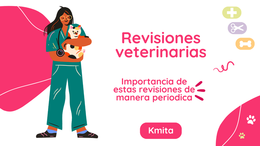 La importancia de las revisiones veterinarias periódicas en gatos 