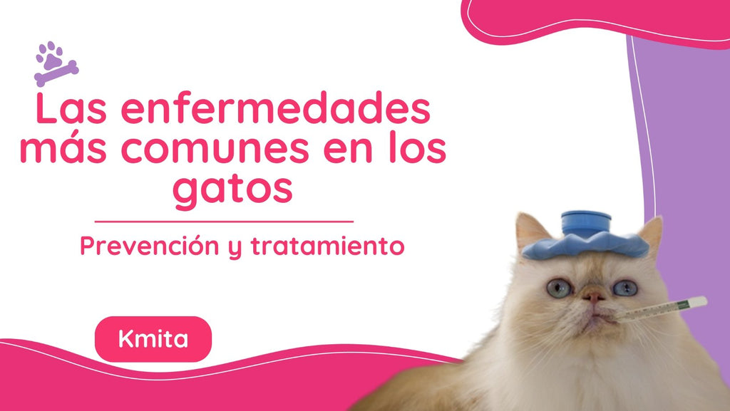 Las enfermedades mas comunes en los gatos: prevención y tratamiento