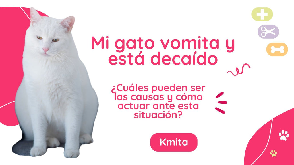 Mi gato vomita y está decaído: ¿cuáles pueden ser las causas y cómo actuar ante esta situación? 