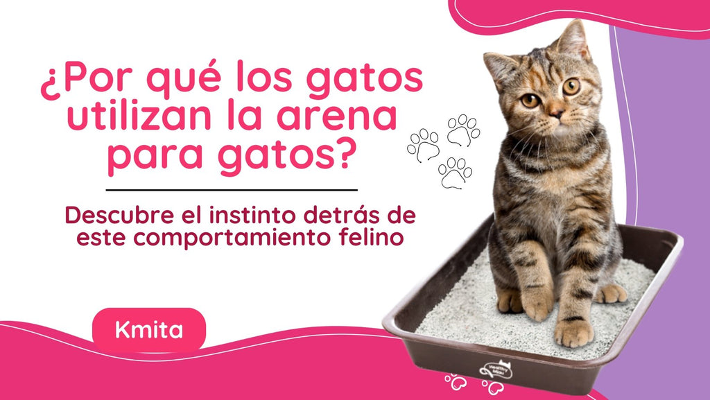 ¿Por qué los gatos utilizan la arena para gatos?