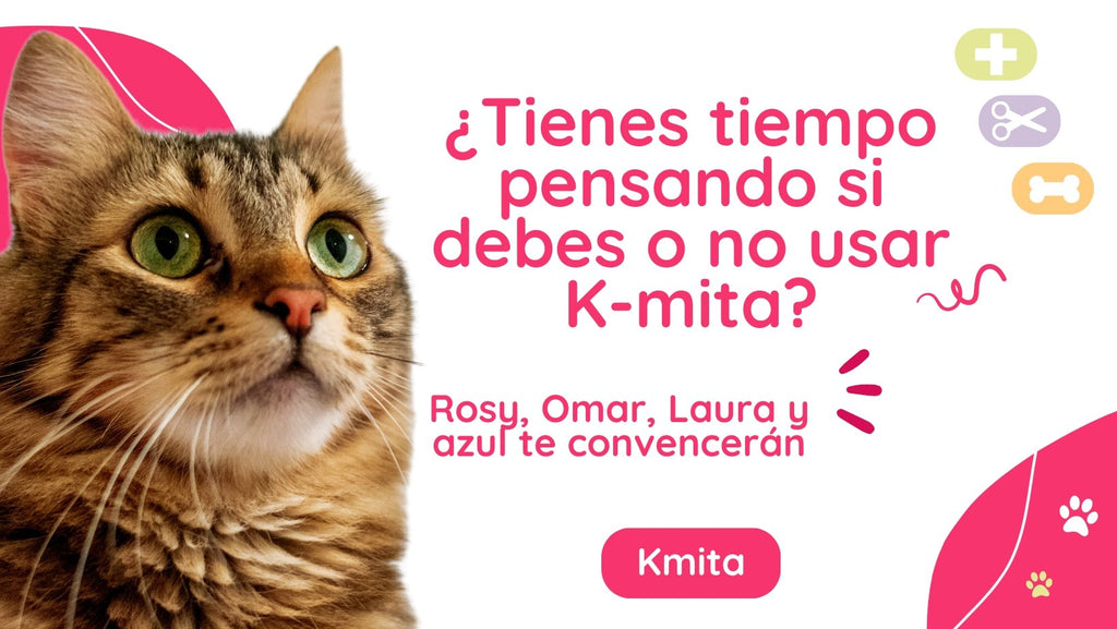 ¿Tienes tiempo pensando si debes o no probar Kmita? Rosy, Omar, Laura y Azul te convencerán 🐈