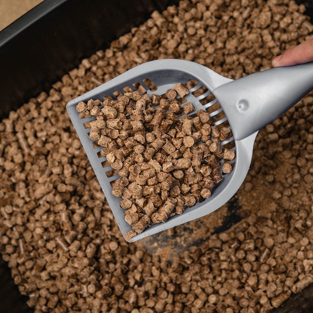 e) Arena Biodegradable para Gato 30 kg - k-mita
